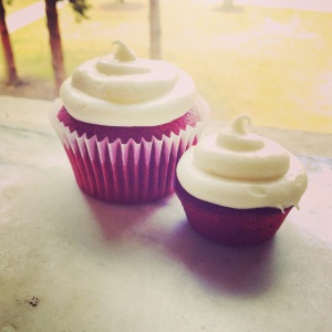 2 cupcakes